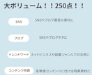 250種の情報商材！！　再販可能商材をお届けします 全て再配布権利付！コンテンツの追加特典やリライトなど用途多数 イメージ3