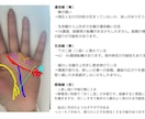 あげ鑑定なし。手相からより良い人生を教えます 1,000字程度で手相全体を鑑定します イメージ1