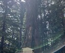 誰にも言えない悩みも真剣に親身になって聞きます 誰もがみんな幸せになる権利を持っている イメージ1