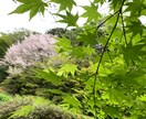 旅行行程考えます 御朱印巡り、美味しいご飯の旅行をしたい方はぜひ！ イメージ1