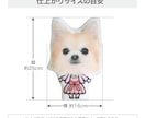 ペット（犬　猫）の画像でウェルカムドールを作ります 結婚式に大切なうちの子（愛猫、愛犬等）と一緒に参加しませんか イメージ5