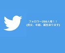 属性指定可◎ フォロワー 250人増やします 年齢、属性、男女の指定があれば承ります。 イメージ1