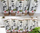 5枚セット★撮影不要！AI商品画像作成します 画像データのみでOK！「売れる商品画像」にリメイクします イメージ4