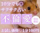 お試し♡10分でサクッと！秘密の恋を占います 【6月末まで♡初回限定】1分200円→100円｜短時間OK♡ イメージ1