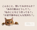 うちの子への質問１つを深掘りして答えをお伝えします これだけ聞きたい！を叶える一問一答アニマルコミュニケーション イメージ2