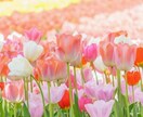 悩みや愚痴を聞きます 共感されてストレス発散しましょう！ イメージ1