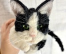 ペットロスに。羊毛フェルトで猫や犬を作ります 大切な思い出を羊毛フェルトのぬいぐるみにして残しませんか？ イメージ9