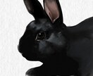 大切なペットの絵を水彩風に描きます 大切な家族のペットの写真をオシャレに水彩風に描きます イメージ6
