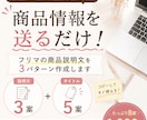 フリマの商品説明文を3パターン作成します 商品情報3つだけ！説明文3案＋タイトル5案をお届け イメージ1