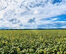 北海道の大自然を貴方だけの一枚にします iPhoneで撮った1枚を貴方だけのものに イメージ9