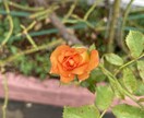 お話聞きます。ゆっくり貴方に寄り添います 誰かに聞いて欲しい、誰かと話したい事ありませんか？ イメージ2