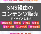 SNS経由の講座販売の相談乗ります 集客〜販売動線までの設計構築をします イメージ1