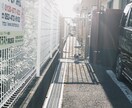 Lightroomでエモい写真編集できます SNSのアイコンや背景画、投稿画像にこだわりたい方は是非！ イメージ10