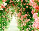 あなた様が持って生まれた使命や宿命を鑑定します 夢へとくりだそう☆宿命や使命から繰り出すあなた様の第一歩 イメージ2