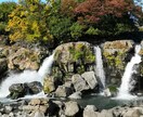 精神当事者同士悩み聴きます うつ病治療中のピアサポーターです。 イメージ1