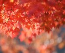 時間短縮！画像素材100枚収集します 画像探しの時間を節約！必要な素材をまとめて収集します イメージ5