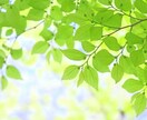 初回限定☆タロット、チャネリングで鑑定します モヤモヤを解消し、あなたの望む未来へ導きます☆ イメージ4