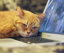 顔出しナシでもSNSで集客力アップの方法を教えます ネットビジネスは顔出ししなきゃ売れない。の常識をひっくり返す イメージ1