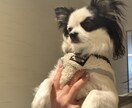 あなたのひとときの癒しになります 一緒に深呼吸しませんか、そのままのあなたで大丈夫です イメージ1