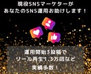 モニター価格！SNSの運用・運営代行します アカウント設計・プロフィールなどあなたのお悩み全部解決します イメージ2