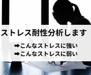 どんなストレスに強い（弱い）のか分析します 抱えても良い負荷と、自分を壊してしまう負荷が存在します イメージ1