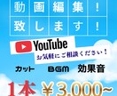 Youtube動画編集承ります YouTube動画編集等｜経験を積みたい為その他SNSも歓迎 イメージ1