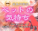 問題行動に隠された、ペットのSOSを霊視します 言葉を話せないあの子の本当の気持ちをすべてお伝えします。 イメージ1