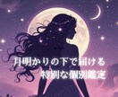 月明かりの下で、あなただけの恋を丁寧に占います あなた専用のオーダー鑑定。自由に話せます イメージ1