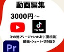 初回サービス有　動画編集うけたまわります 動画投稿したい！でも暇がないしわからない！そんなあなたに！ イメージ1