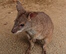 主婦の”なんかモヤる”を聞きます。一緒に整理します 日々のモヤモヤ、気持ちの整理お手伝いします イメージ1