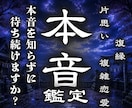 現在のお相手の気持ちを◆集中霊視鑑定します 【本音を知ると道が開かれる】◆溝が深まる前に導きます イメージ1