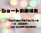 CapCutでショート動画編集します YouTube/TikTok/リール対応 イメージ1