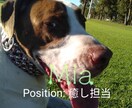 人に言えない悩みは色々あります！人生相談承ります もやもやしている問題を解決できるよう、お手伝いさせて下さい！ イメージ7