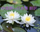 中国語  ↔︎ 日本語の翻訳&通訳します 中国語の翻訳困るあなたお手伝いいたします イメージ1