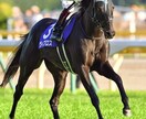 中央競馬各競馬場の馬券の"キモ"教えます 競馬場によって走る馬は違う!その特徴を伝授します! イメージ1