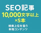 SEO記事【10000字〜】を５記事作成します ランキング1位多数の実績！完全運用代行〜記事作成まで可能 イメージ1