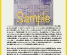 本場スリランカ占星術でキャリア診断致します 本番スリランカ占星術師のホロスコープ診断で、仕事の悩み解決 イメージ2