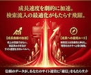 アフィリエイトで稼ぐためのアクセスアップ術教えます ブログやWEBサイト運営でアクセスを増やす方法 イメージ5