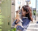 最高画質×女性同行。元チワワ飼い主が可愛く写します 女性同行可で安心。6100万画素の描写で一生モノの写真を。 イメージ3