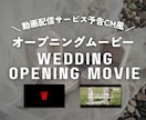 Netflixの予告CM風オープニングを作ります 修正無制限◎ 写真素材など、必要情報をお送りいただくだけ！ イメージ3