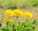 今のあなたに必要な言葉を神様を通じてお伝えします 神様はいつもあなたを見ています イメージ4