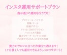 美容サロンインスタ運用サポートします 一ヶ月後には1人で運用できるよう全力サポート！ イメージ3