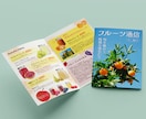 折りチラシ・パンフレット制作いたします 初めてでもOK！魅力を伝える企業案内・店舗紹介をお作りします イメージ9