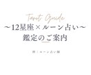 最短24時間以内☆12星座×ルーンで占います あなたの性質と今の流れから次の一歩を読み解きます イメージ1