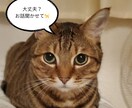 共感重視＊あなたに寄り添います 愚痴・涙・弱音ぜんぶOK。ここではあなたが主役。 イメージ3