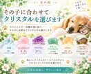 大切なペットを7日間クリスタルの光で癒します その子に合わせたクリスタルを選び、7日間やさしく寄り添います イメージ4