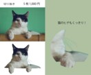 最短当日！画像の切り抜きを5枚1000円で承ります 丁寧に仕上げます。EC出品やSNS、名刺用にも！ イメージ3
