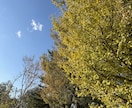 人の悩みの大半は人間関係★気持ちをとことん聞きます 男性、女性どんな悩みもポジティブ変換していきます(^^) イメージ1