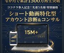 先着5名！プロがSNS運用をコンサルします 実績作りにつき先着5名様限定！プロがSNSをコンサルします！ イメージ1