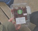 自己肯定感上げてみませんか？あなたのよさ見つけます 「あなたの“いいところ”、言葉にして贈ります」 イメージ1